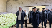 Ситников похвалил фермеров за картошку по 20 рублей