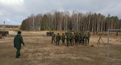 Обломки БПЛА со взрывчаткой нашли в Костромской области
