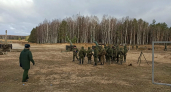 Озвучили итоги экспертизы обломков БПЛА под Костромой