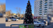 На улицах Костромы появились первые новогодние елки