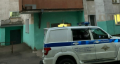 Собака в Шарье напала на грудного ребенка