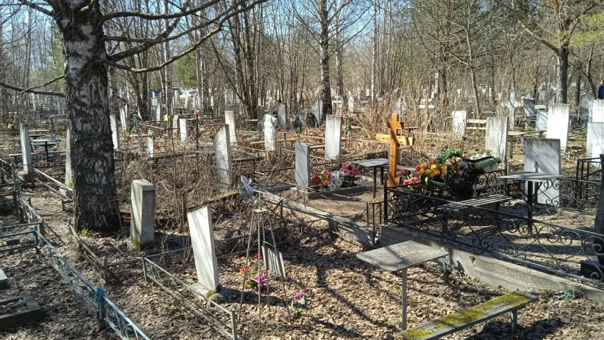 В Костроме умер мэтр ЖКХ Борис Боярский