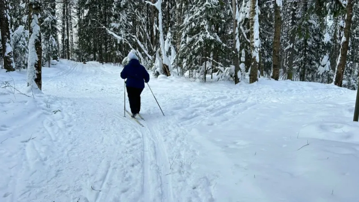 Волшебные котлы Конька-Горбунка под Костромой очищают от недугов