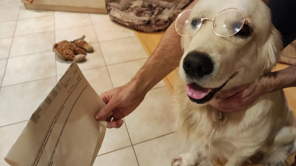 "За двушку - 10 тысяч": костромичам пришли счета за ЖКУ