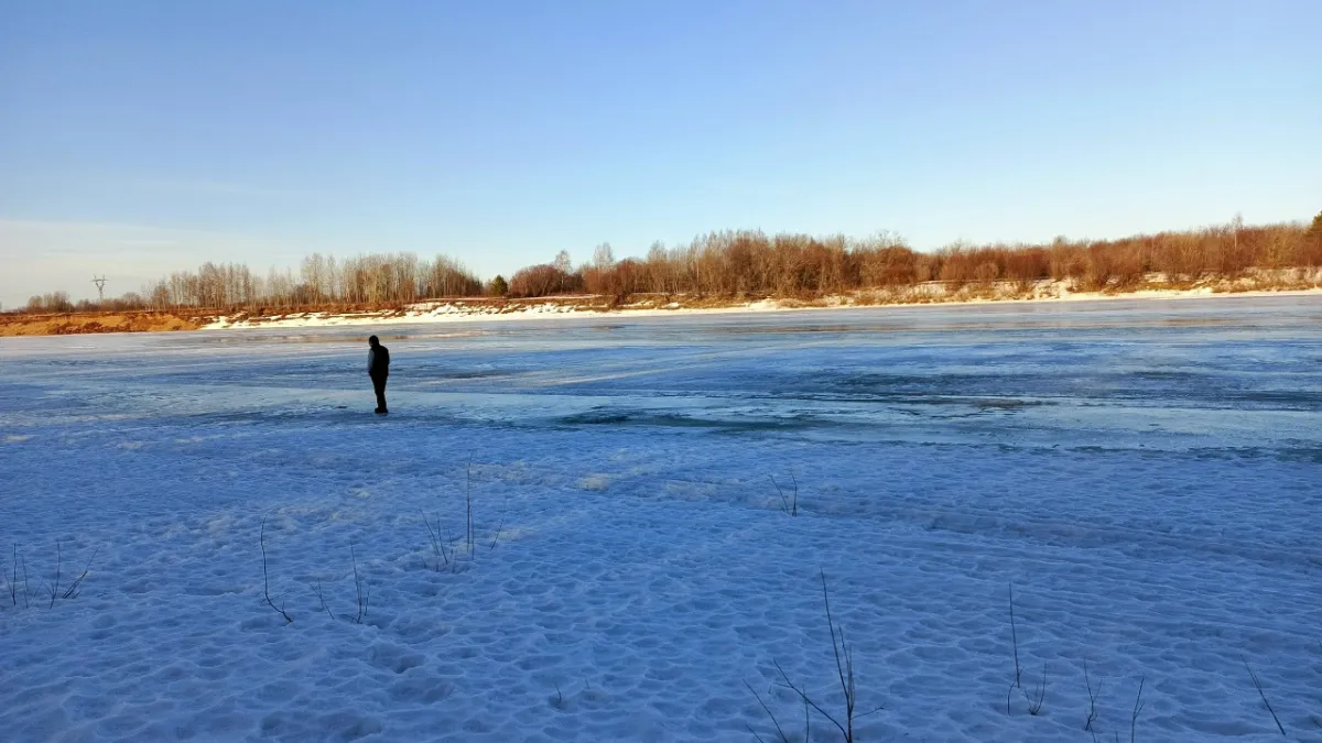 Костромские катера начнут ходить между городами России 