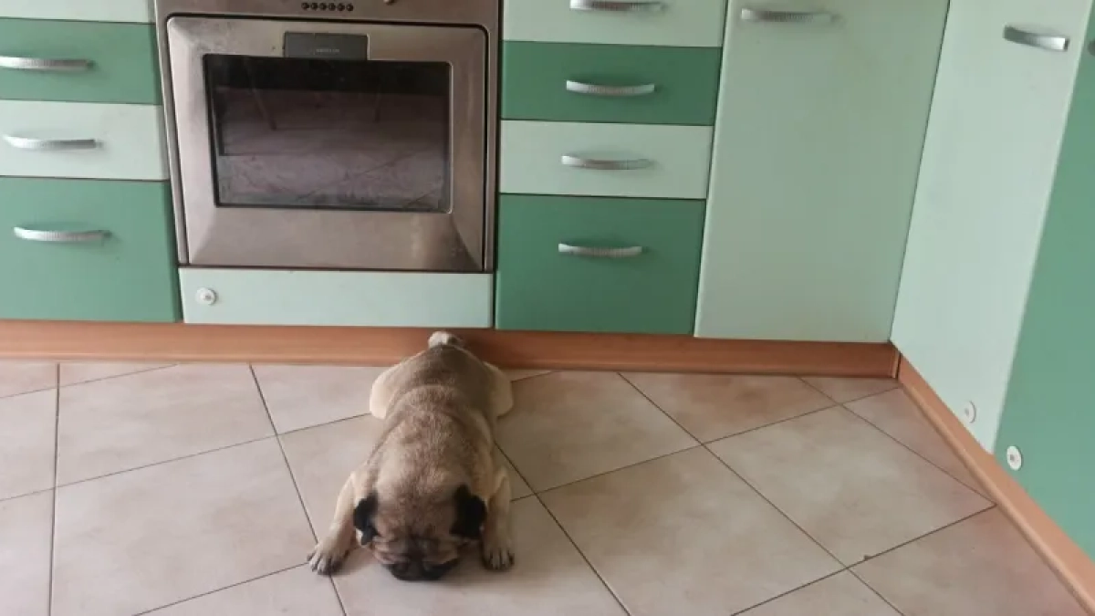 В Костроме людей выселят из шести многоэтажек