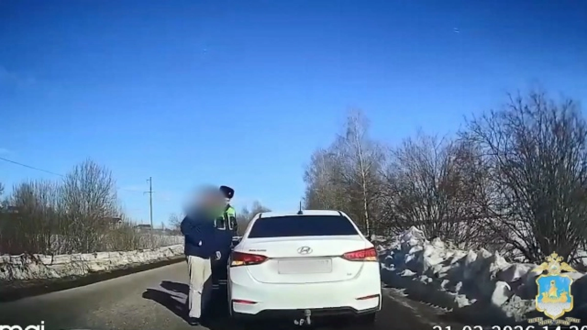 Ребенок за рулем иномарки ездил по Костромской области