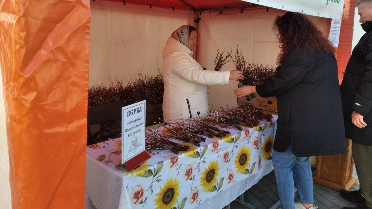 В Костроме начался бум на вербы: где купить веточки  по 100, 200, 400 рублей