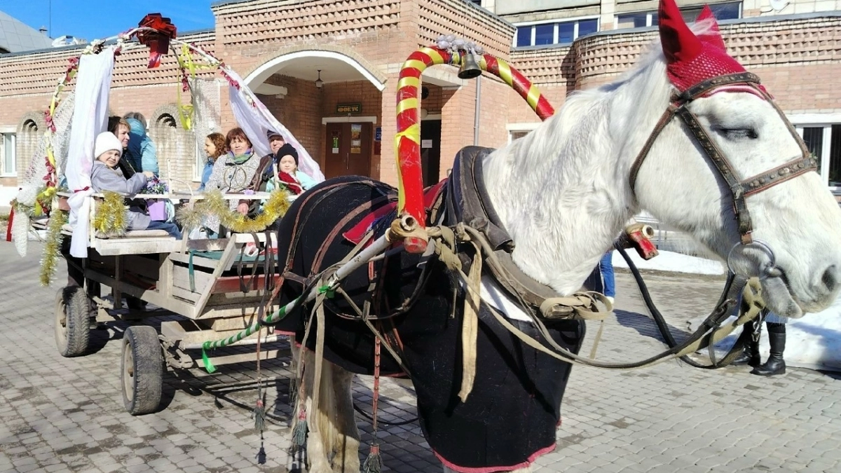 Влюбленная пара пенсионеров из Костромы приехала в ЗАГС на свадебных  лошадях