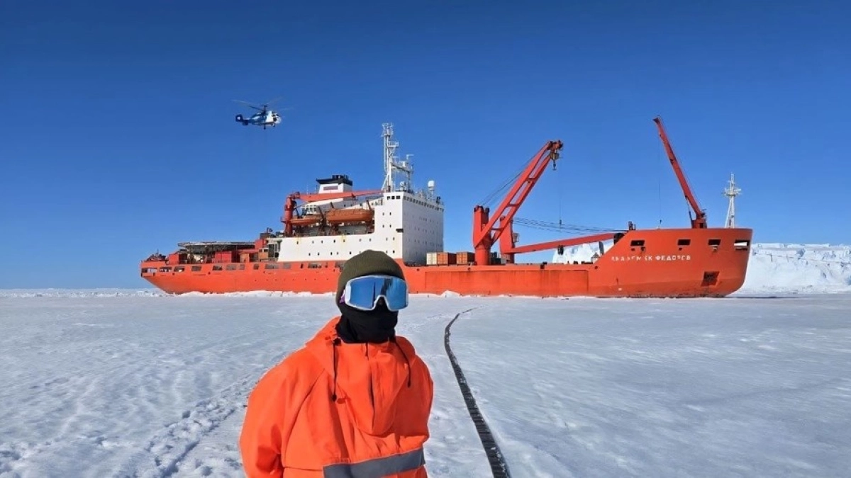 Костромской программист работает в Антарктиде