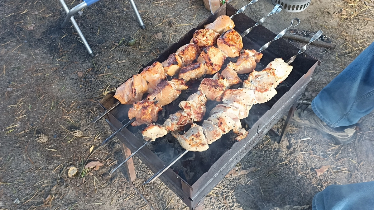 Костромичей предупредили о штрафах до 15 тысяч рублей за жарку шашлыков