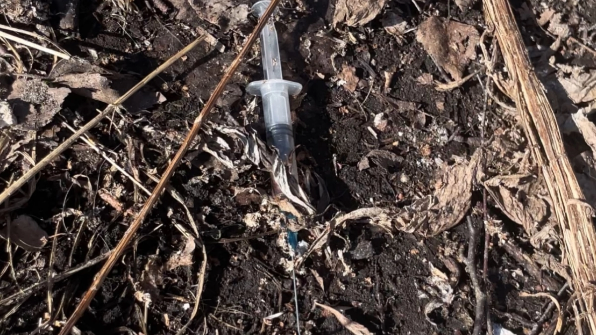 Парк в центре Костромы наводнили использованные шприцы 