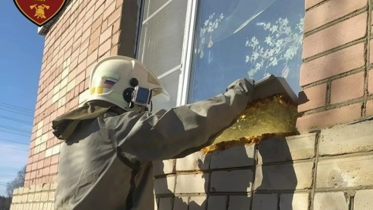 Осы атаковали костромской детсад из-за аномальной погоды