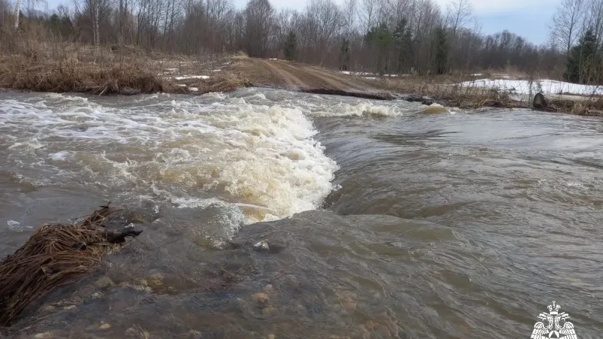 Поднявшаяся вода затопила дорогу в Костромской области