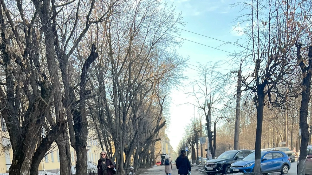 В Костроме ищут почетных граждан среди жителей