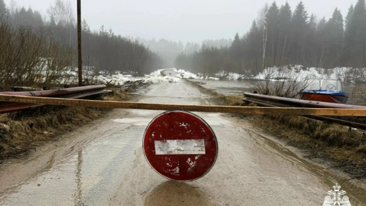 Семнадцать костромичей отрезало от цивилизации из-за подтопа моста