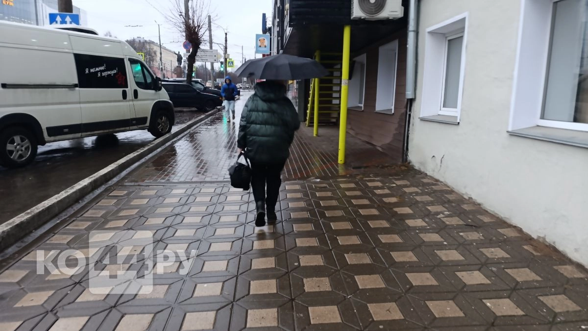 В Костроме обещают мокрый снегопад 