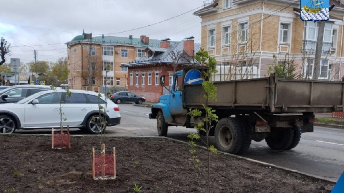 В Ботниковском сквере Костромы обустроят тенистую зону отдыха 