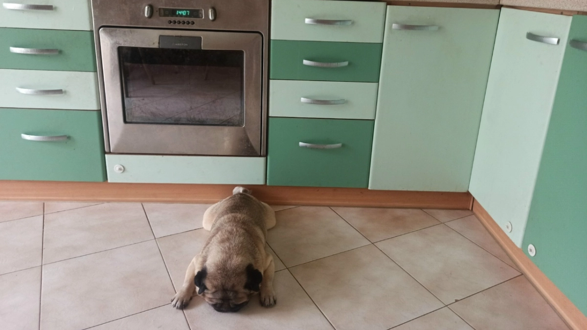 В Костроме введут штрафы за отказы газовщикам