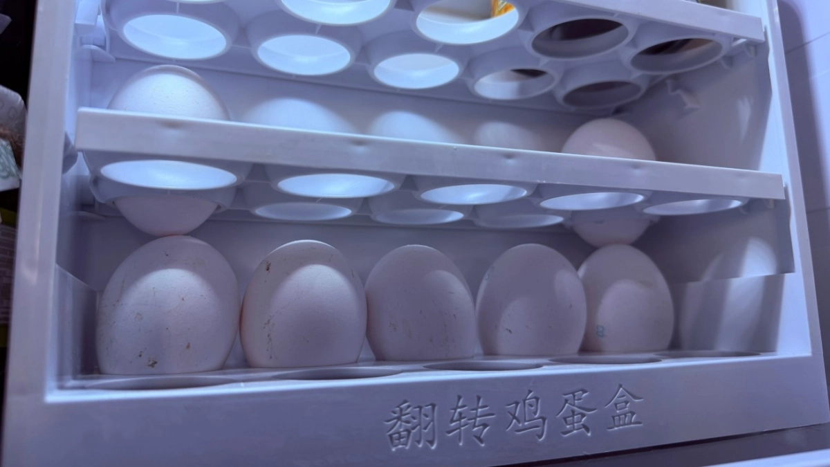 Жарить яйца больше не модно - вот что придумали ушлые хозяйки: теперь кормят семью идеальным завтраком 