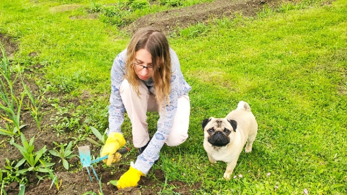 Жителям Кострому бесплатно дадут землю под выращивание овощей