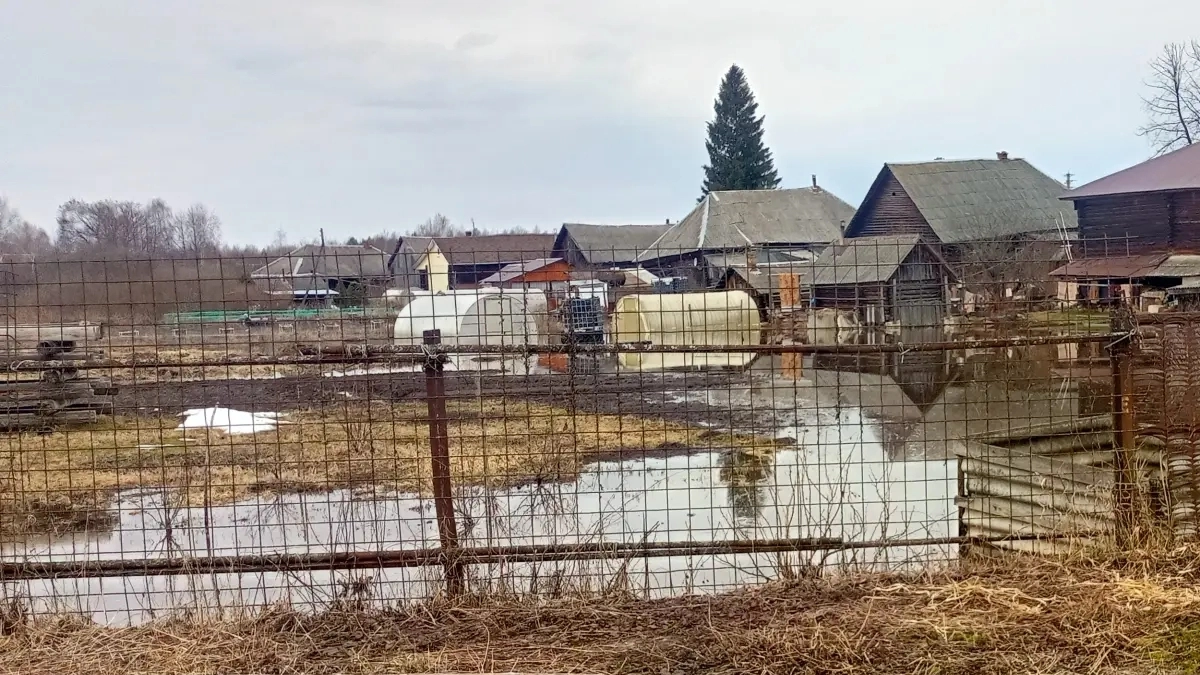 Потоп в Костроме дошел до уголовного дела о халатности