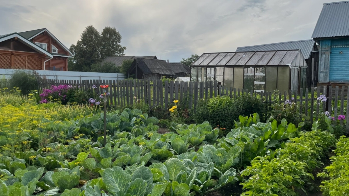 Избавилась от вони в дачном туалете - быстро и бюджетно: соседка подсказала рецепт