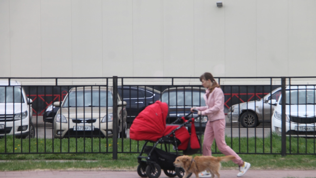 Летнее тепло под 20 градусов резко ударит по Костроме в апреле