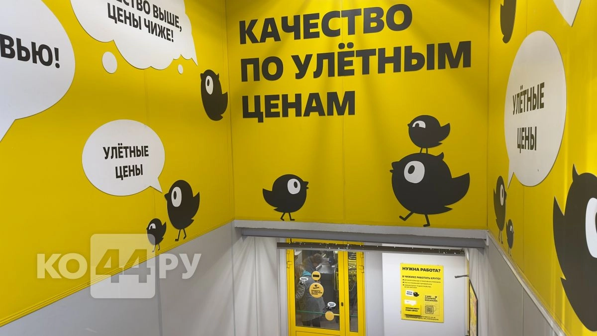 Забежала за хлебом, а скупила пол-отдела: показываю находки из «Чижика» - новинки 2026