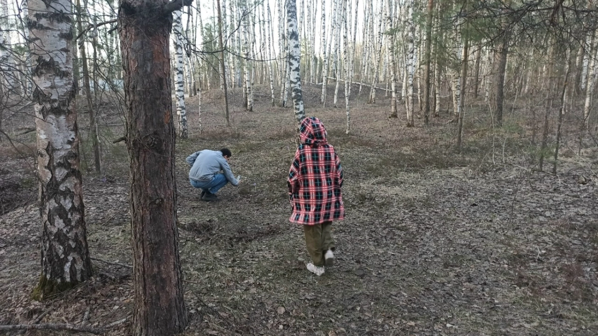 Бизнесмены Костромы скинутся по 5 миллионов на лес