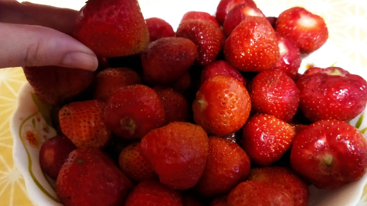 Сладкая как карамель и крупная как персик: агроном назвала правила по уходу за клубникой весной