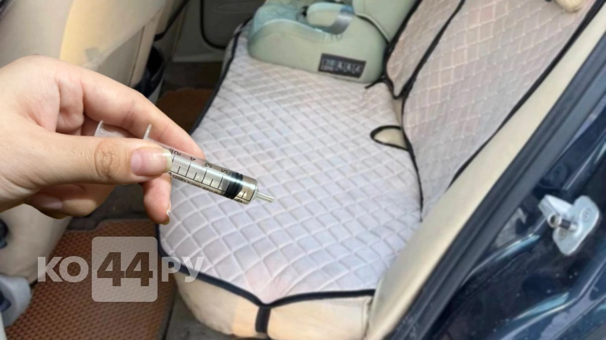 Втыкаю шприц в сидень авто и и забываю о проблемах на год: для чего так делают именно в апреле