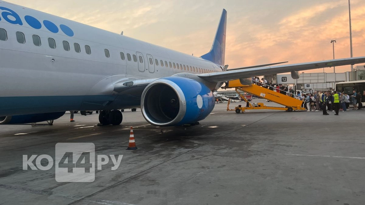 Что случится, если вы забыли включить авиарежим на телефоне? Откровения капитана воздушного судна