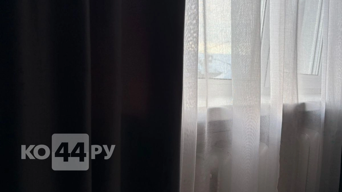 Жалюзи и шторы уже прошлый век: в квартирах к окнам вешают совсем другое - 4 трендовых варианта