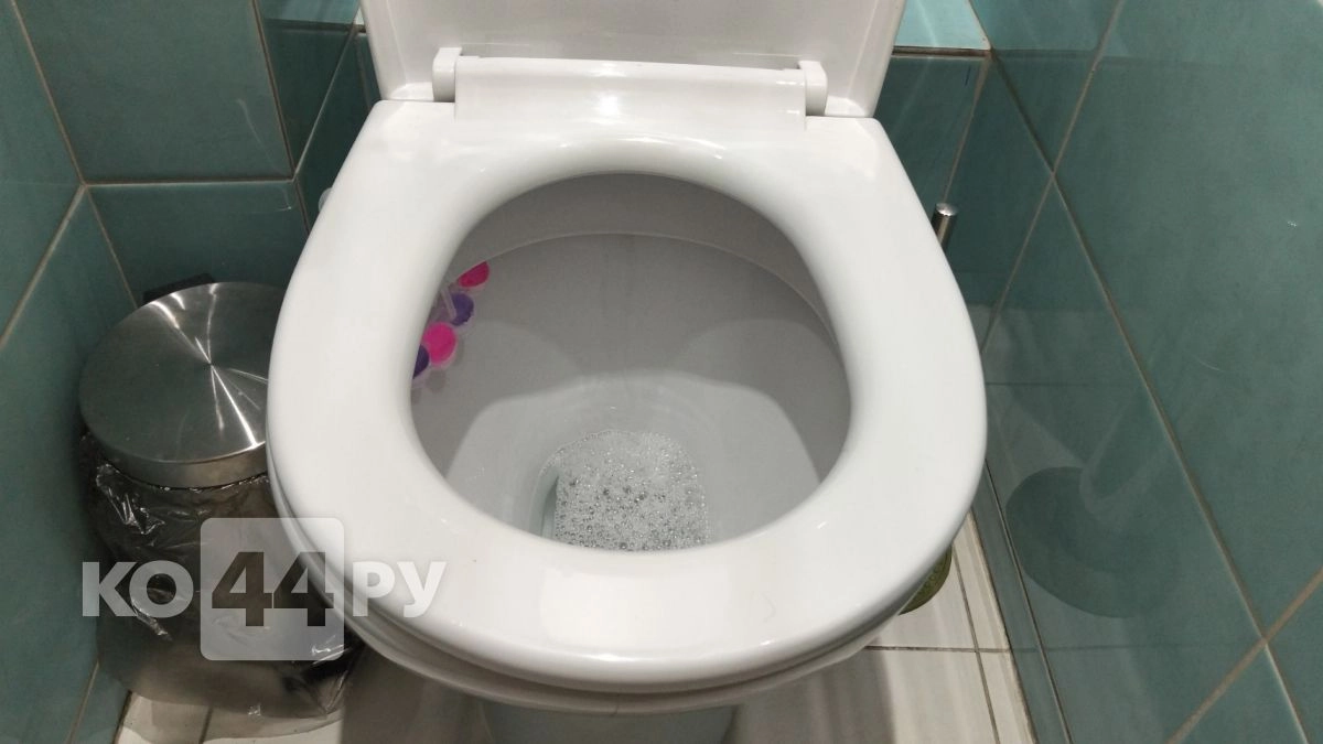 Сантехники умоляли не рассказывать это: найден способ устранить любой засор в туалете без троса и грязи