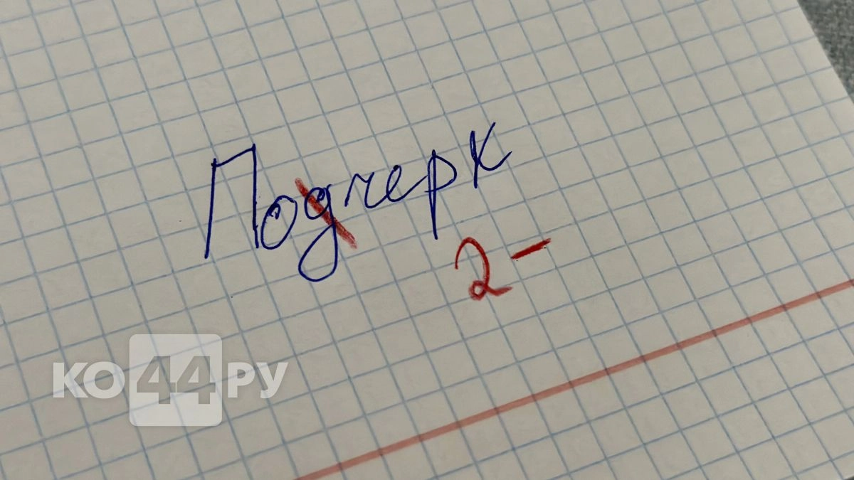 Стыдно не знать: в этих словах нет буквы "Д", но каждый 2-й россиянин упорно её ставит