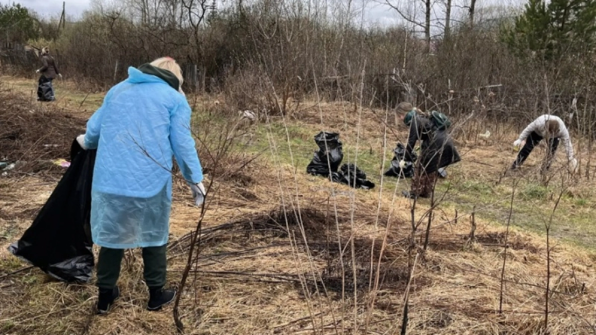 Костромичи вышли на уборку 100 территорий к майским праздникам 