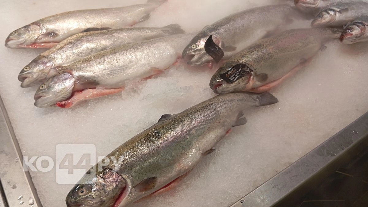 Вместо семги - эту рыбу за копейки: Роскачество назвало продукт, в котором кальция больше, чем в лососе, а омега-3 - как в красной икре