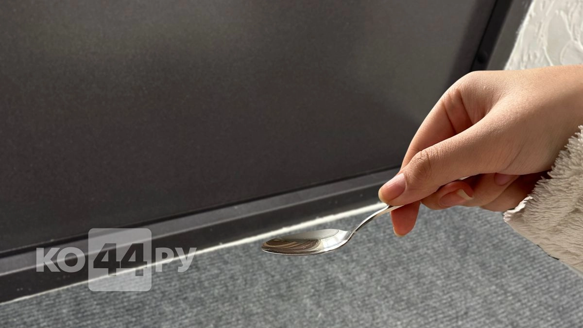 1 ложка на порог - и муравьи собирают чемоданы: это средство из кухни выгонит их надолго