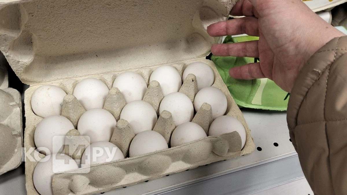 Секреты выбора яиц в супермаркете: на что обратить внимание, чтобы не купить тухляк