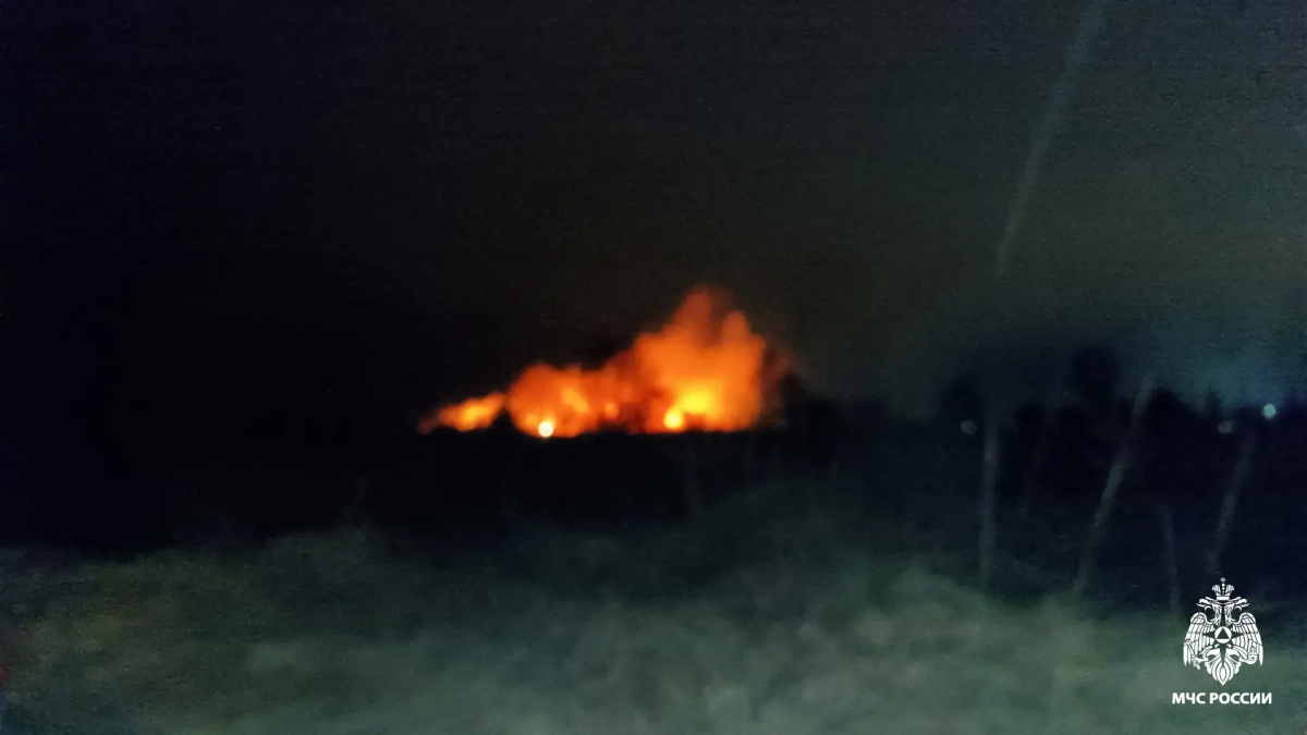 В Костроме случился пожар в приюте для животных