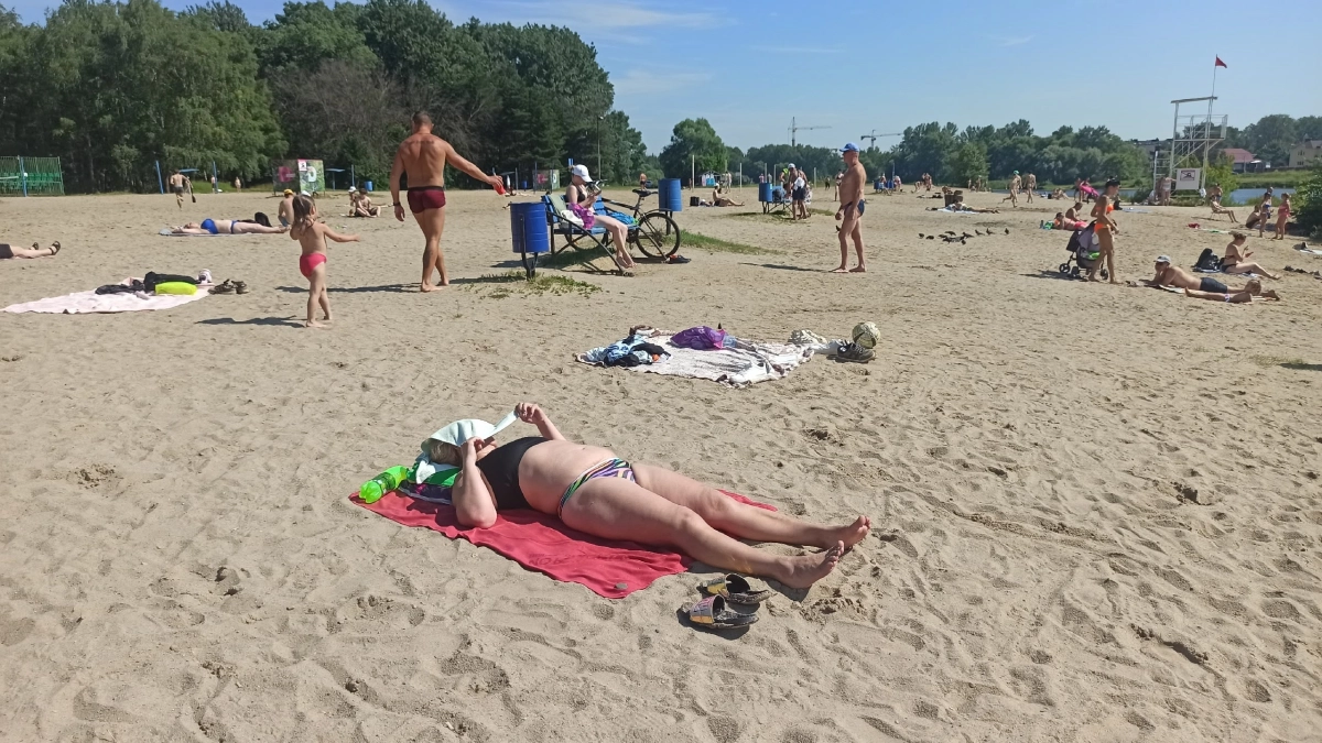 Летом Кострому накроют огромные комары и аномальная жара