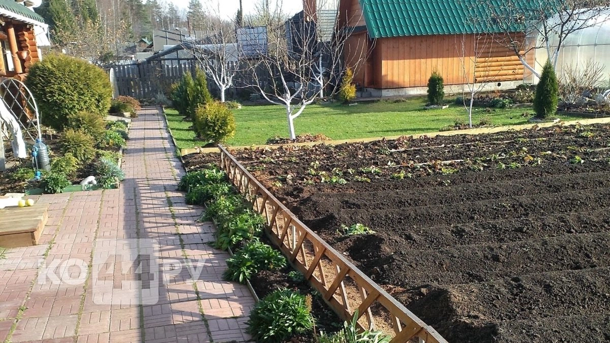 Трава между плитками сгорит за сутки: 2 легких способа забыть о прополке дорожек - соседи обзавидуются