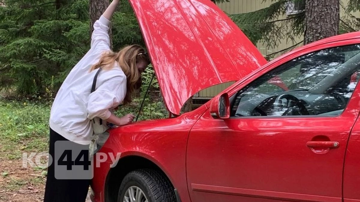 Не пишут даже в инструкции: ГАИ раскрыла 8 функций каждого автомобиля - вы обязаны их знать