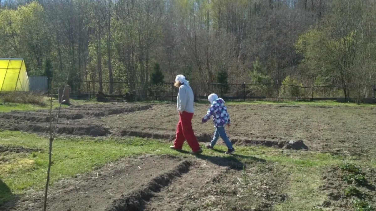 В Костроме дачников будут штрафовать за неграмотную обработку участка