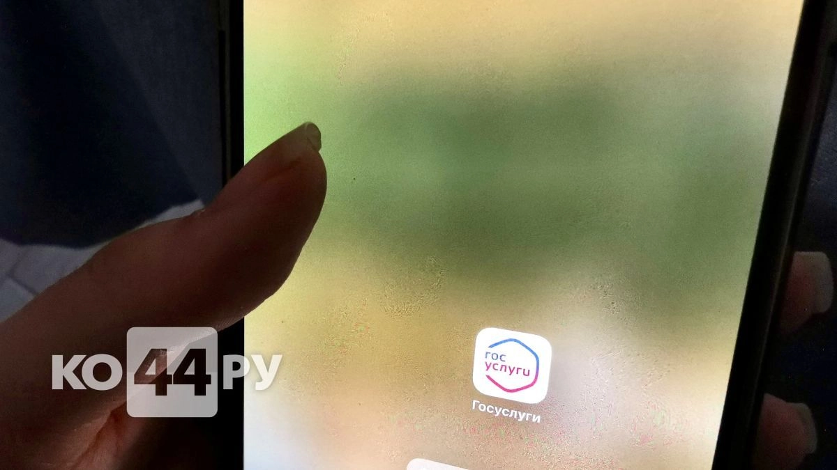 Выплаты и льготы для тех, кому за 60: полный список. Как оформить через «Госуслуги» без очередей