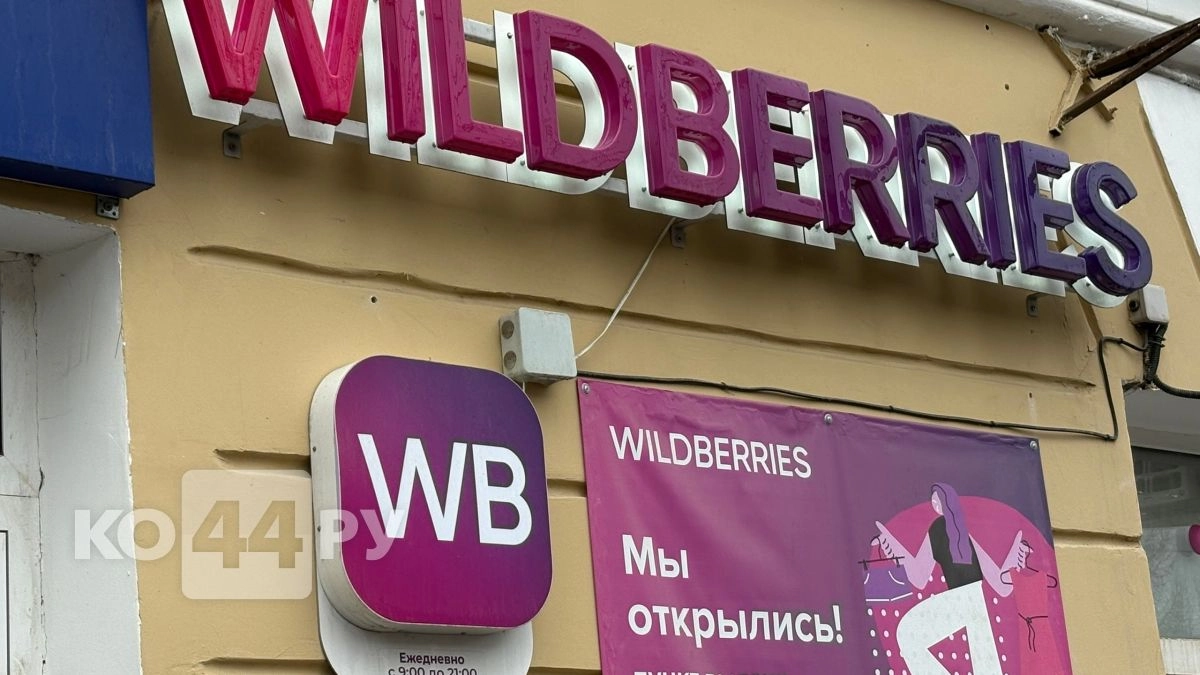 Секретный раздел на Wildberries: как находить товары с уценкой 90% - скрыты от обычных покупателей