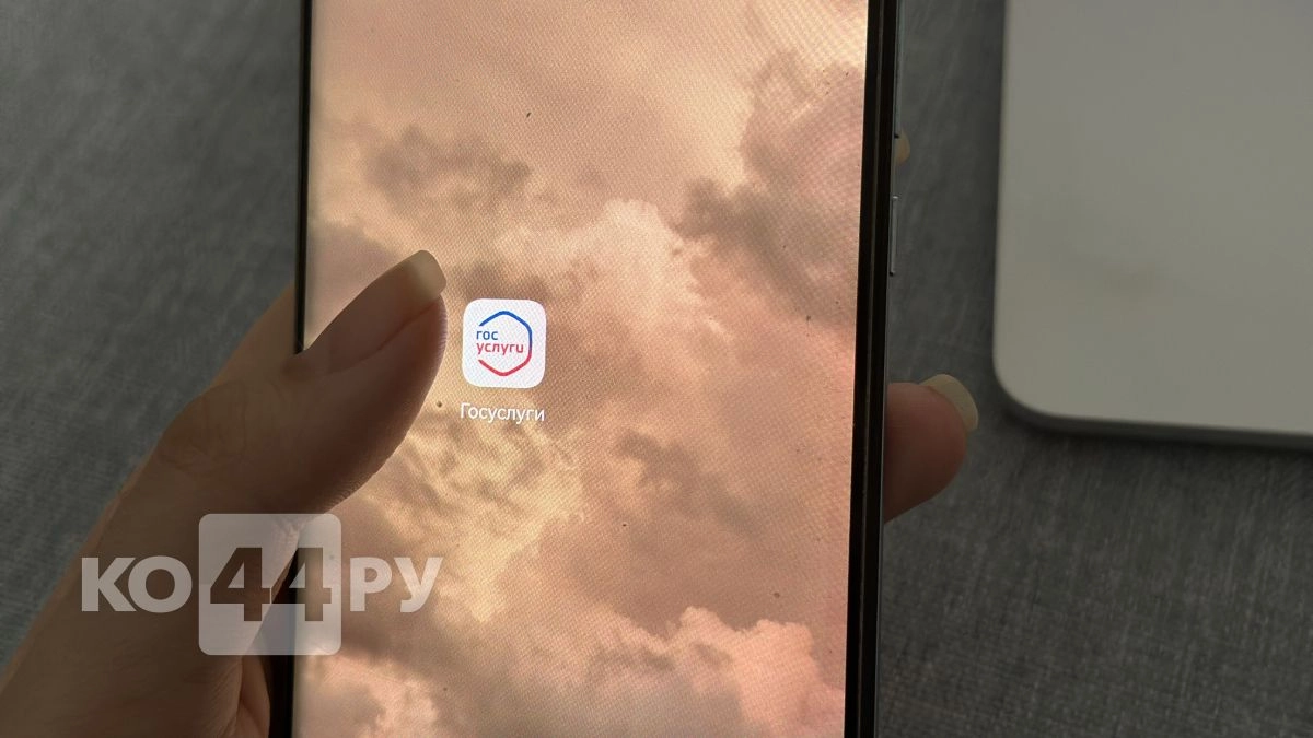 Ни льгот, ни выплат, ни пенсии: Госуслуги вводят жесткую проверку данных - узнайте, как вернуть доступ за 1 минуту