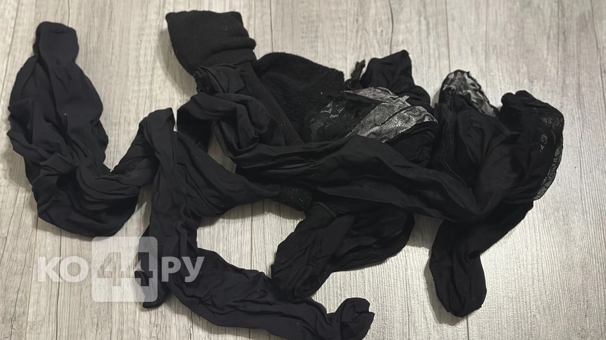 Достаю старые колготки из корзины и режу на узкие ленты: 4 способа использовать их в саду - соседи уже просят научить