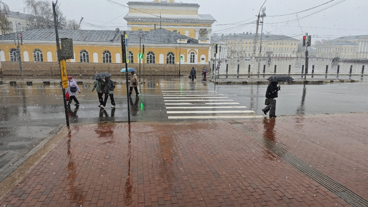 Пособия и маркировка продуктов: что изменится в жизни костромичей с 1 мая